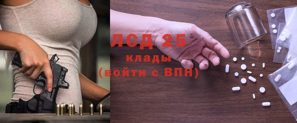 крисы Коряжма