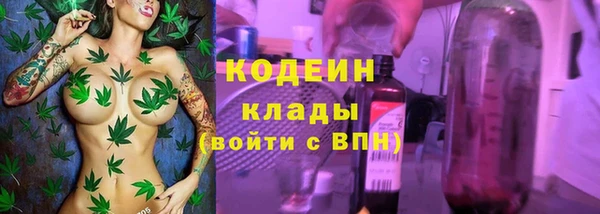 крисы Коряжма