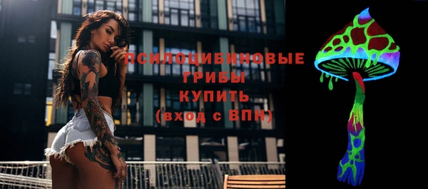 бошки Костерёво