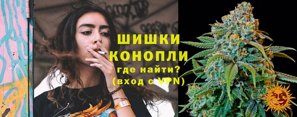 крисы Коряжма
