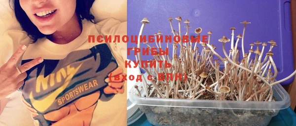 крисы Коряжма