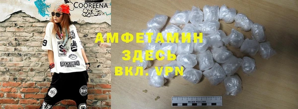 крисы Коряжма