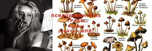 бошки Костерёво