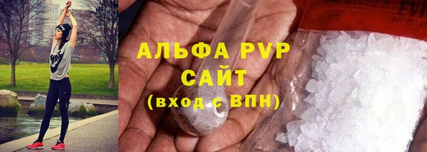 крисы Коряжма