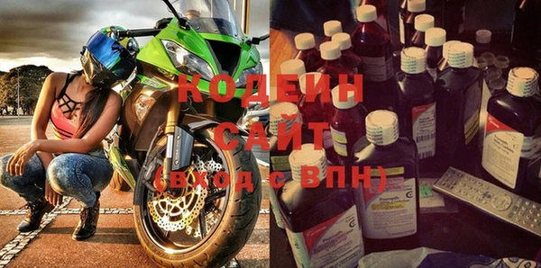 крисы Коряжма